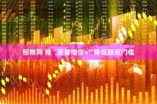 股粮网 推“质量增信+”降低融资门槛